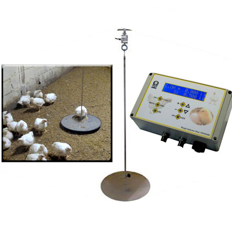 PM30MB CHICKEN WEIGHER